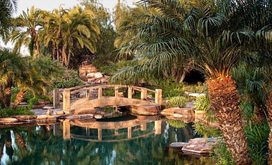 Backyard design with pool and bridge