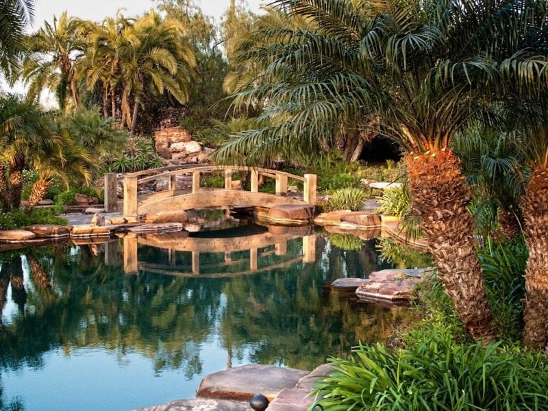 luxury pool and bridge backyard